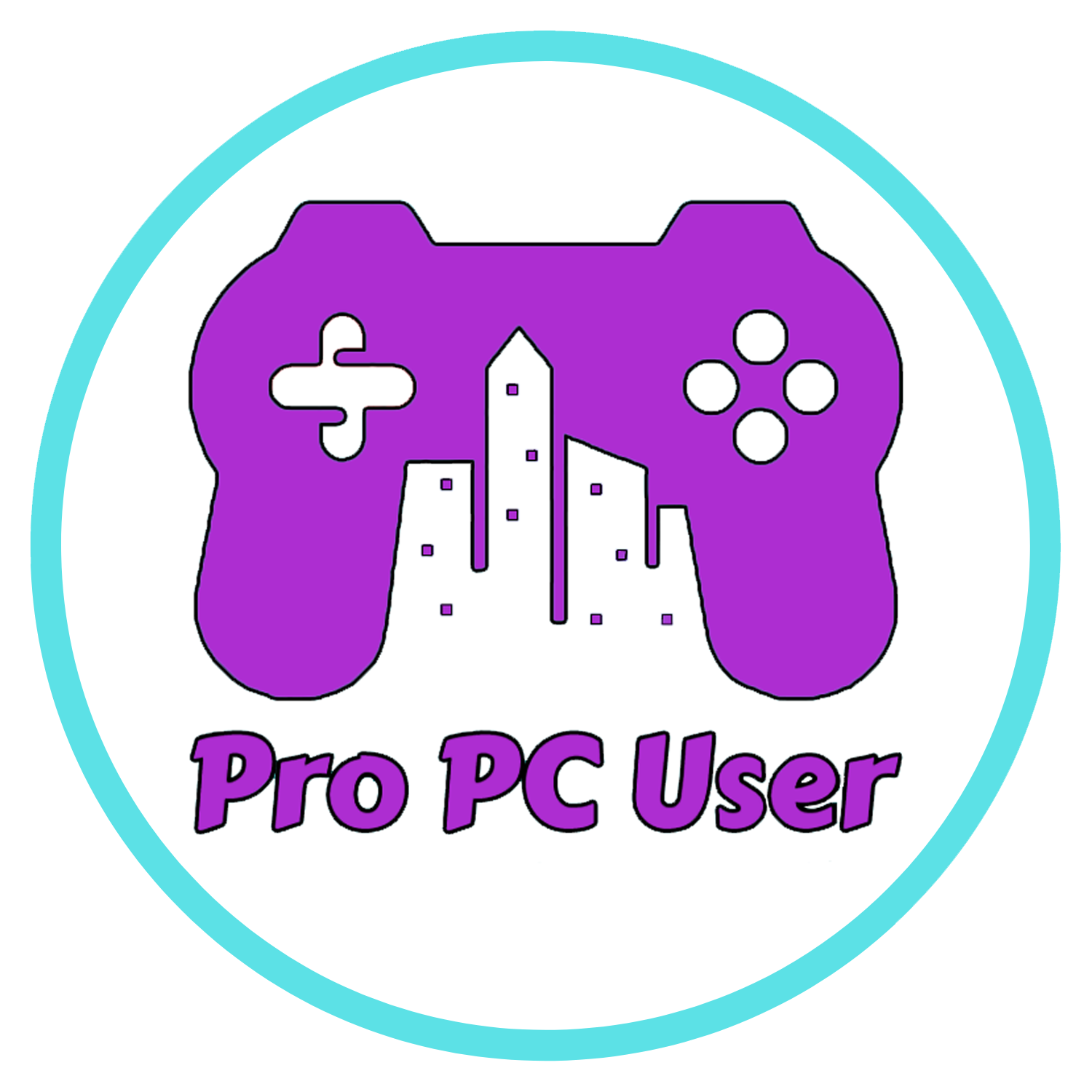 Pro PC User